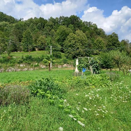 Casa Vacanze Tania Somendenna Zewnętrze zdjęcie