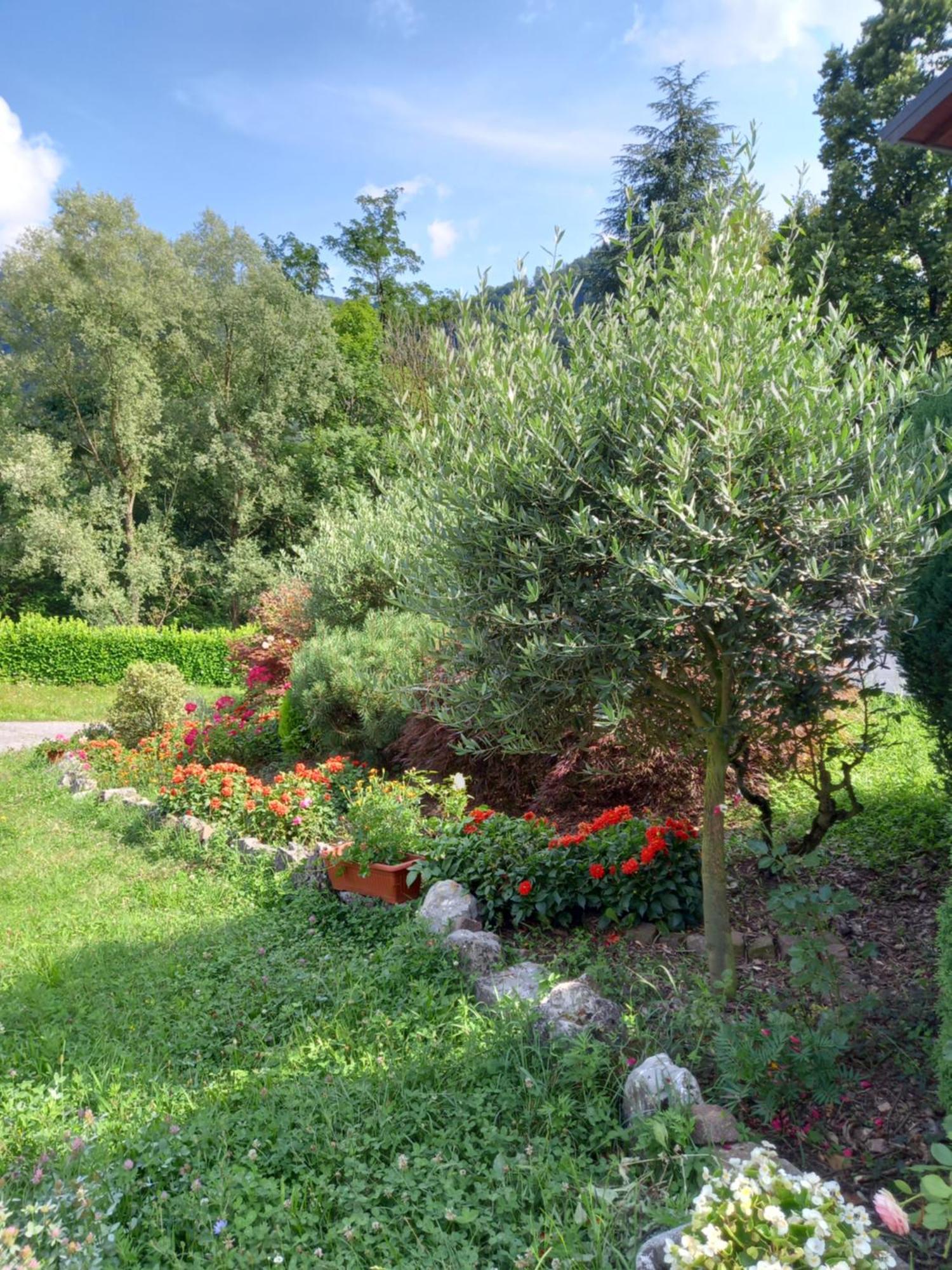 Casa Vacanze Tania Somendenna Zewnętrze zdjęcie