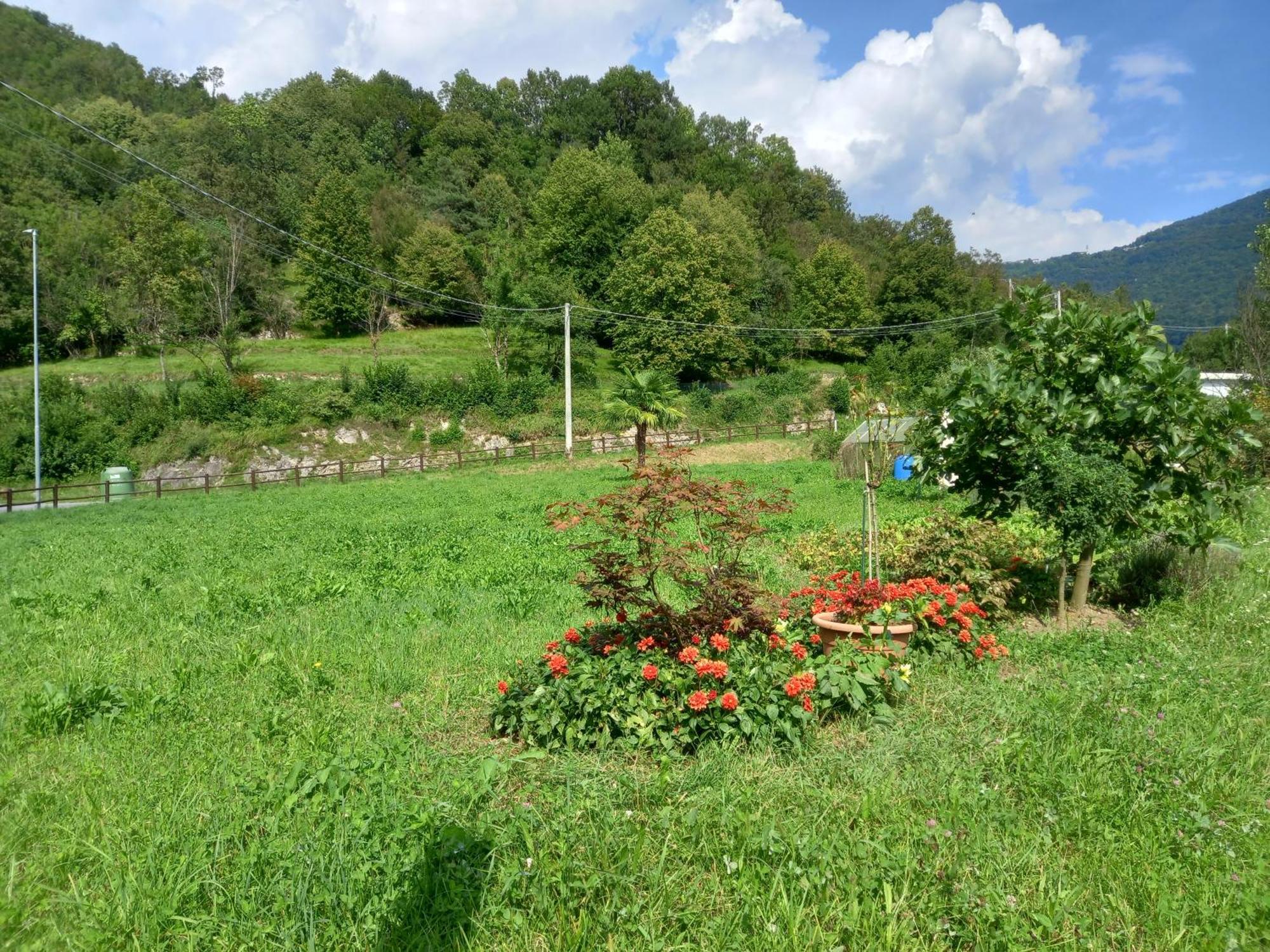 Casa Vacanze Tania Somendenna Zewnętrze zdjęcie